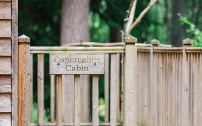 Feriebolig:&nbsp;Capercaillie Cabin 100.3