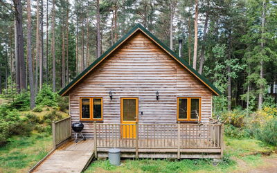 Feriebolig:&nbsp;Red Squirrel Lodge 100.2