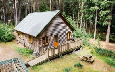 Feriebolig:&nbsp;Capercaillie Cabin 100.3