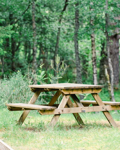 Capercaillie Cabin 100.3