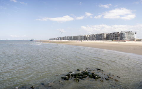 Centrally Located Sea You Again: Daytime, Vand, Horisont, Kyst, Hav, Strand, Landskab, Coastal Og Oceaniske Landskabsformer, Kyst, Ocean