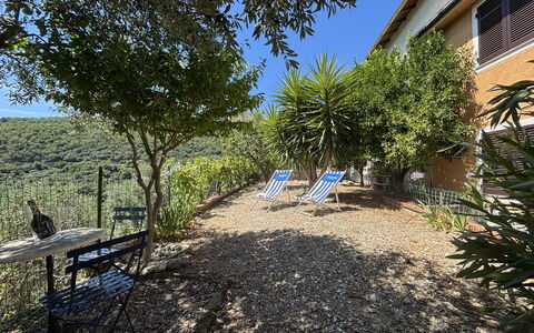 Il Fienile, Garden and Peacefull View: Busk, Plantesamfund, Have, Landscaping, Skygge, Blomsterkrukke, Backyard, Gård, Stueplante