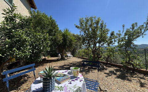 Il Fienile, Garden and Peacefull View: Busk, Landskab, Have, Forår, Skygge, Stol, Landscaping, Blomsterkrukke, Gård