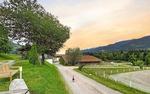 Kaprun 614: Bjergrige Landskabsformer, Græs, Bakke, Bjerg, Landskab, Landdistrikt, Highland, Bjergkæde, Land Lot, Almindeligt