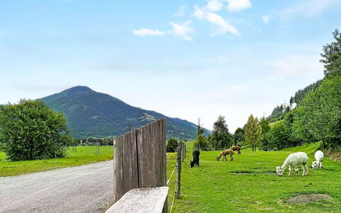 Kaprun 614: Bjergrige Landskabsformer, Græs, Grøn, Bakke, Bjerg, Græs-, Naturlige Landskab, Highland, Landskab, Pasture