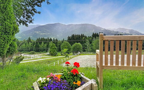 Kaprun 614: Bjergrige Landskabsformer, Grøn, Natur, Træ, Bjerg, Naturlige Landskab, Bakke, Landskab, Sommer