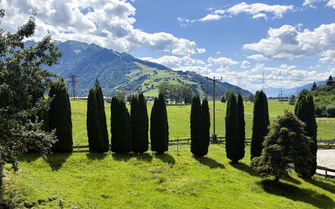 Kaprun 614: Bjergrige Landskabsformer, Grøn, Træ, Naturligt Miljø, Natur, Græs, Bakke, Naturlige Landskab, Highland, Bjerg