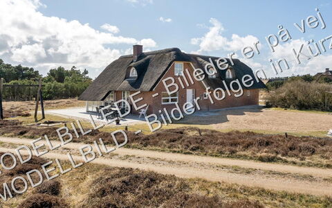 Eufemia - 2.8Km from the Sea: Møbel, Indretning, Gulvbelægning, Etage, Bord, Træ, Loft, Stol, Værelse, Couch