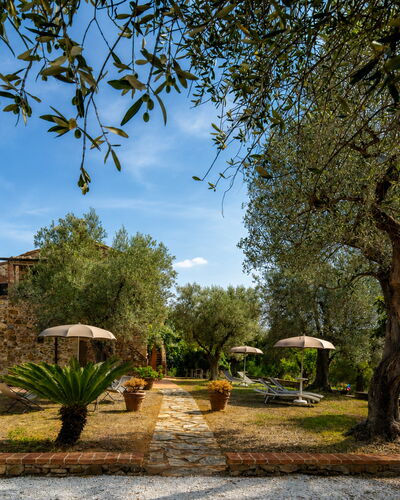Casale delle Lupe, Campiglia Marittima
