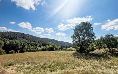 Horní Líšnice: Himmel, Blå, Daytime, Græs, Grøn, Naturligt Miljø, Natur, Sky, Naturlige Landskab, Vegetationen