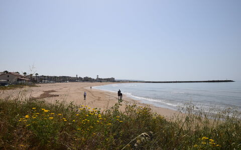 Villa la Vigne: Himmel, Strand, Krop Af Vand, Kyst, Naturligt Miljø, Kyst, Sand, Coastal Og Oceaniske Landskabsformer, Horisont, Hav