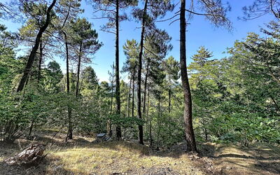 La Bergerie de Portes