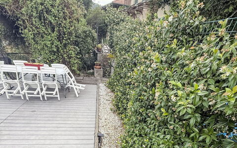 Colazza 100: Busk, Have, Forår, Skygge, Landscaping, Hegn, Botanisk Have, Home Fencing, Hæk