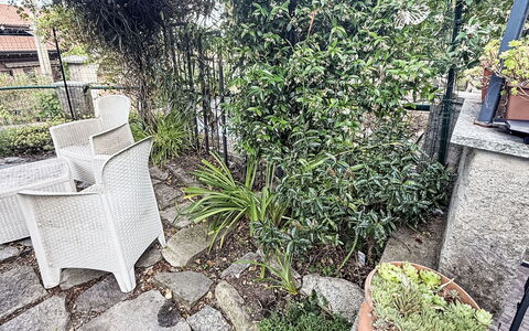 Colazza 100: Busk, Blomsterkrukke, Have, Stueplante, Hegn, Urt