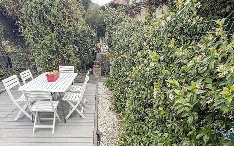 Colazza 100: Busk, Have, Forår, Landscaping, Skygge, Hæk, Hegn, Home Fencing, Walkway, Backyard