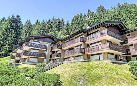 Presanella: Hjem, Estate, Altan, Villa, Hotel, Eco Hotel, Pine Family
