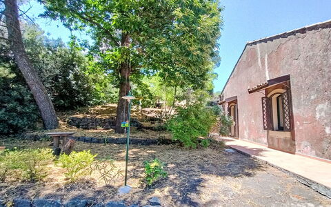 Il Giardino di Lara: Træ, Blad, Afdeling, Vegetationen, Busk, Skygge, Have, Vedplante, Landscaping