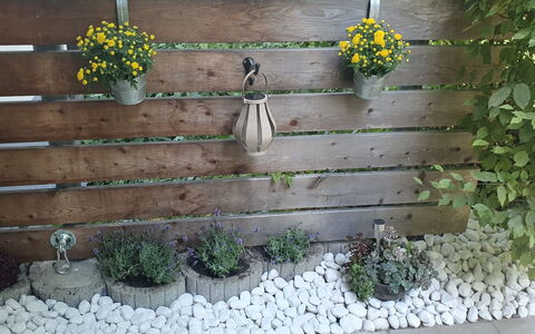 Bergzeit: Blomsterkrukke, Have, Stueplante, Planke, Blomsterhandlere, Hegn, Home Fencing, Backyard, Hårdttræ, Urt