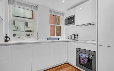 Spitafields Apartment: Busk, Have, Boligområde, Plantesamfund, Land Lot, Bunddække, Landscaping, Backyard, Gård