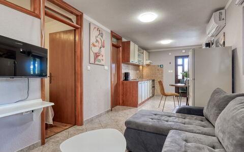 Duema: Busk, Have, Boligområde, Plantesamfund, Land Lot, Bunddække, Landscaping, Backyard, Gård