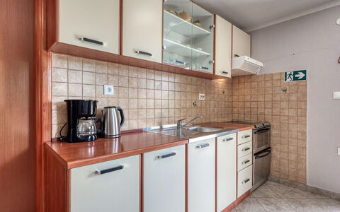 Duema: Busk, Have, Boligområde, Plantesamfund, Land Lot, Bunddække, Landscaping, Backyard, Gård