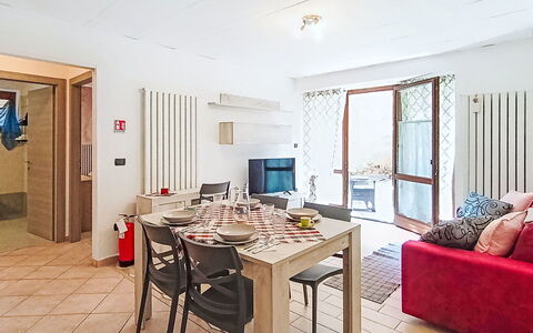 Stefani: Busk, Have, Boligområde, Plantesamfund, Land Lot, Bunddække, Landscaping, Backyard, Gård