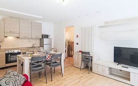 Stefani: Busk, Have, Boligområde, Plantesamfund, Land Lot, Bunddække, Landscaping, Backyard, Gård