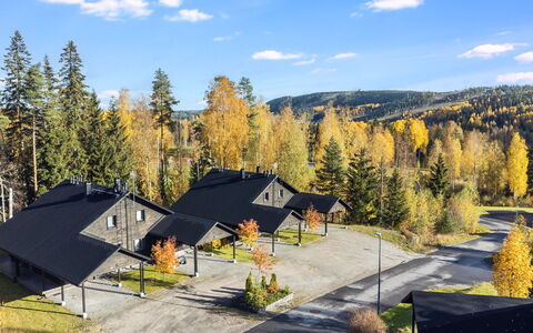 Golfarinkunnas 6B: Træ, Hus, Sommerhus, Hjem, Tag, Lærk, Sidespor, Bjælkehytte, Woodland, Vinter