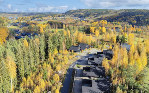 Golfarinkunnas 9C: Træ, Landskab, Skov, Lærk, Luftfotografering, Evergreen, Pine Family, Tropisk Og Subtropisk Nåleskov
