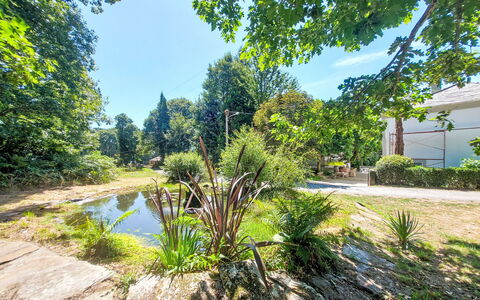 Pizarra: Vegetationen, Busk, Have, Bunddække, Sollys, Vedplante, Dam, Skygge, Landscaping, Botanisk Have
