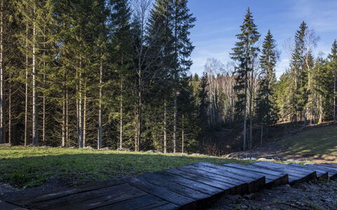 Valera Vita Forest: Træ, Blad, Naturligt Miljø, Natur, Træ, Skov, Bagagerum, Woodland, Lund