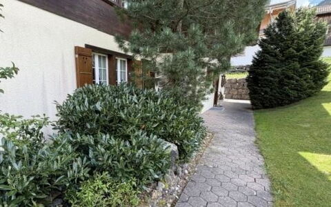 Lenk 755: Busk, Have, Bunddække, Landscaping, Walkway, Indkørsel, Gård, Hæk, Evergreen