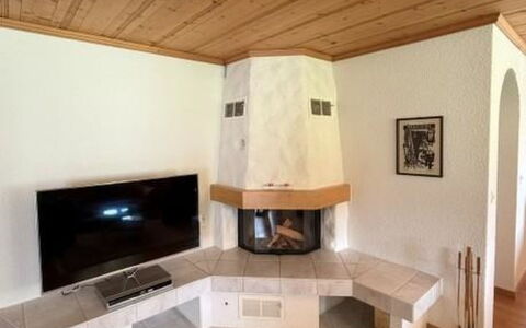 Lenk 755: Indretning, Træ, Gulvbelægning, Etage, Møbel, Hearth, Loft, Værelse, Stue, Television