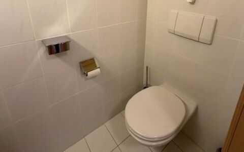 Lenk 755: Toiletbræt, Toilet, Væg, Badeværelse, Gulvbelægning, Etage, Sanitærarmatur, Flise, Indretning, Vvs