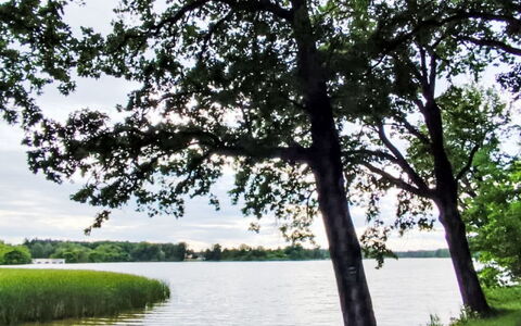 Trebon 1: Vandressourcer, Vand, Krop Af Vand, Grøn, Natur, Naturligt Miljø, Blad, Afdeling, Naturlige Landskab, Vegetationen