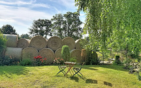 Chrischi: Grøn, Græs, Busk, Have, Lawn, Forår, Skygge, Eng