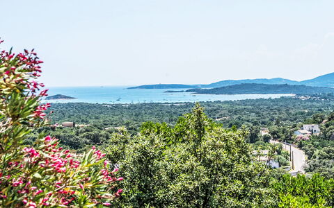 Sainte Lucie Porto Vecchio 650: Altan, Bejdse, Stueplante, Udendørs Møbler, Blomsterkrukke