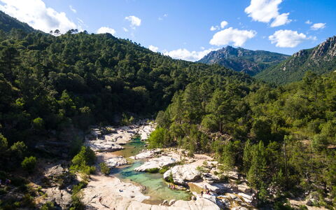 Sainte Lucie Porto Vecchio 650: Altan, Bejdse, Stueplante, Udendørs Møbler, Blomsterkrukke