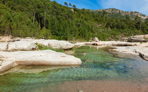 Sainte Lucie Porto Vecchio 650: Altan, Bejdse, Stueplante, Udendørs Møbler, Blomsterkrukke