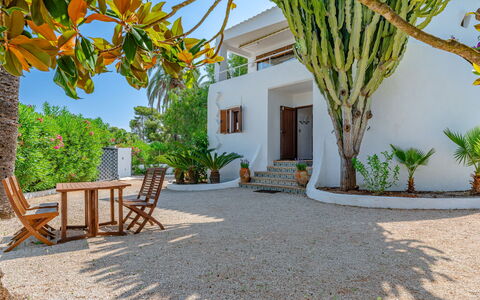 Can Nura: Vedplante, Estate, Skygge, Landscaping, Have, Tropics, Udvej, Hacienda, Villa