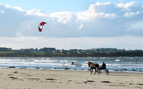 Le Jardin du Calme: Strand, Fritid, Hav, Kyst, Coastal Og Oceaniske Landskabsformer, Vind Wave, Ocean