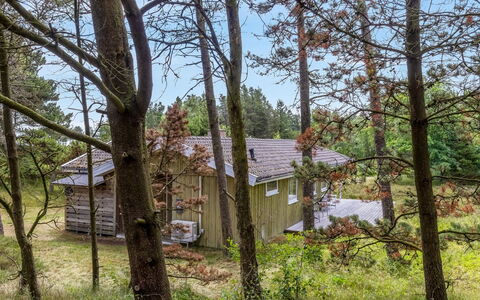 Iivo - 3.5Km from the Sea: Træ, Naturligt Miljø, Træ, Afdeling, Vegetationen, Hus, Sommerhus, Busk, Hjem, Plantesamfund