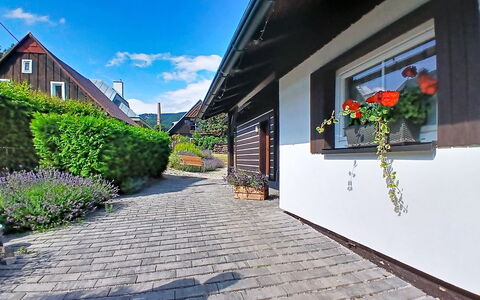 Cerny Dul 400: Hus, Busk, Arkitektur, Hjem, Sommerhus, Bunddække, Have, Flise, Dør