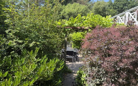 Lonneke - from the Sea: Busk, Plantesamfund, Have, Vedplante, Landscaping, Backyard, Botanisk Have, Evergreen, Udendørs Møbler