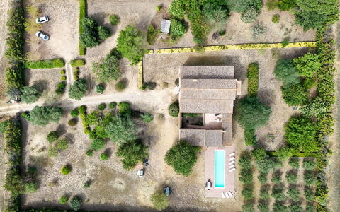 Mas Nualart: Busk, Landskab, Land Lot, Hjem, Estate, Landdistrikt, Have, Sommerhus, Plantation, Landscaping
