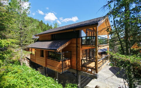 02 Nth055 18F Sup Chalet mit Sauna und Hot Tub 2 e: Træ, Hjem, Sommerhus, Hårdttræ, Bjælkehytte, Naturmateriale, Bejdse, Woodland, Planke, Tømmer
