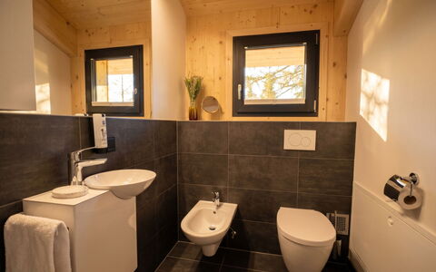 02 Nth056 18G Sup Chalet mit Sauna und Hot Tub 2 e: Væg, Gulvbelægning, Træ, Sanitærarmatur, Badeværelse, Etage, Indretning, Håndvask, Toilet, Toiletbræt