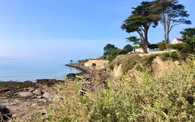 Les Sylphes