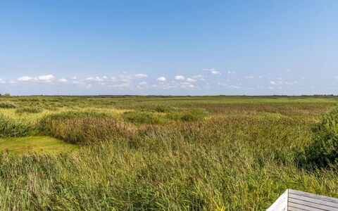Scarlet - 500M from the Sea: Himmel, Græs, Grøn, Græs-, Naturligt Miljø, Vegetationen, Økoregion, Naturlige Landskab, Almindeligt, Prærie