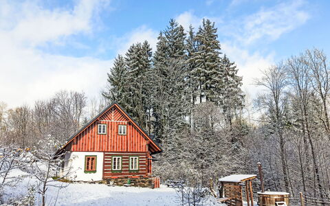 U Kazíků: Træ, Hus, Træ, Hjem, Sommerhus, Vinter, Tag, Sne, Landdistrikt, Fryser